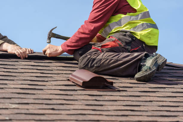 Best Roof Gutter Cleaning  in Houghton, MI