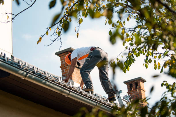 Best Residential Roofing Contractor  in Houghton, MI