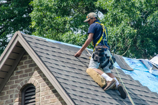 Best Roof Inspection Near Me  in Houghton, MI